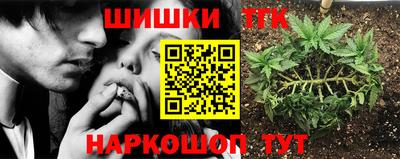 гидропоника Берёзовский