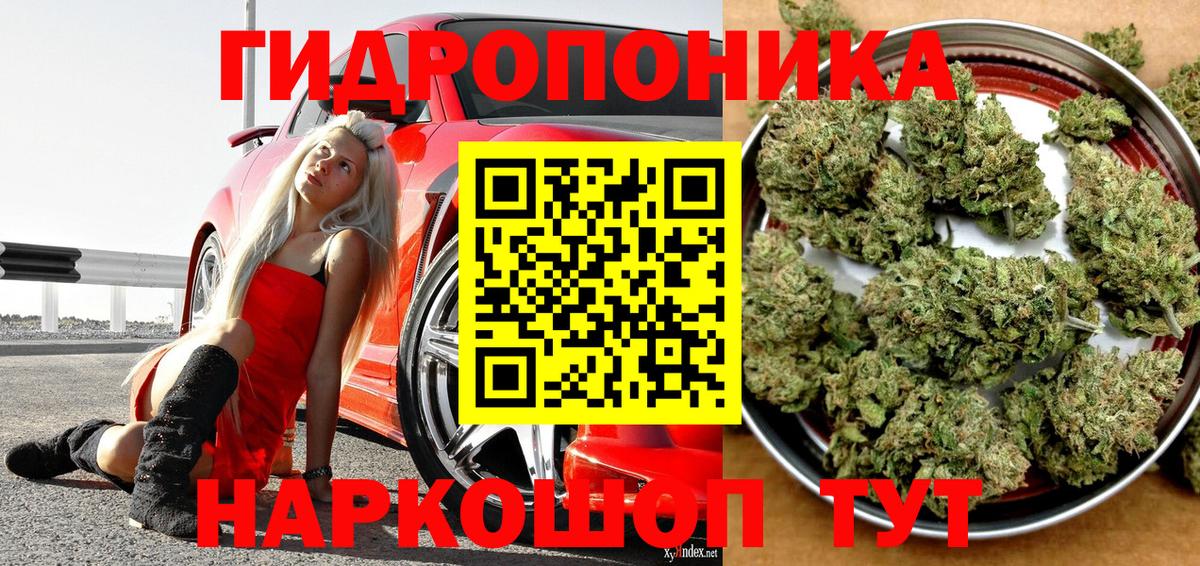 Шишки марихуана Ganja  Шишки марихуана SATIVA & INDICA  Вход с VPN  Иваново  МАРИХУАНА Ganja 